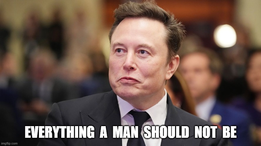 Photo Negative of Humanity | EVERYTHING  A  MAN  SHOULD  NOT  BE | image tagged in elon musk | made w/ Imgflip meme maker