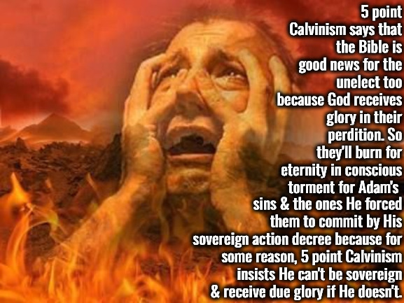 Easy For Them To Say | 5 point Calvinism says that the Bible is good news for the unelect too because God receives glory in their perdition. So they'll burn for eternity in conscious torment for Adam's; sins & the ones He forced them to commit by His sovereign action decree because for some reason, 5 point Calvinism insists He can't be sovereign & receive due glory if He doesn't. | image tagged in burning in hell,calvinism,arminian,molinism,reformed theology 5 point calvinist,they'd disagree if they were unelect | made w/ Imgflip meme maker