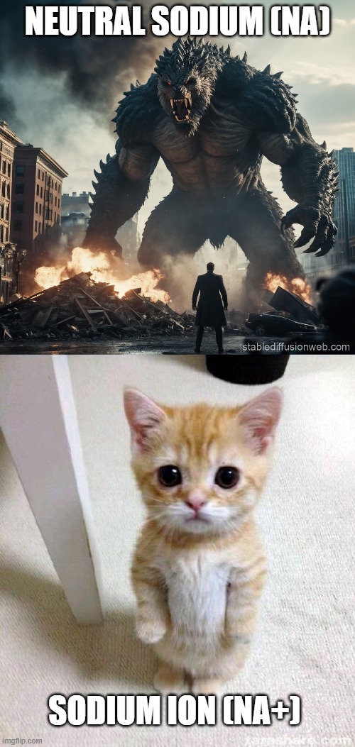 Sodium | NEUTRAL SODIUM (NA); SODIUM ION (NA+) | image tagged in memes,cute cat | made w/ Imgflip meme maker