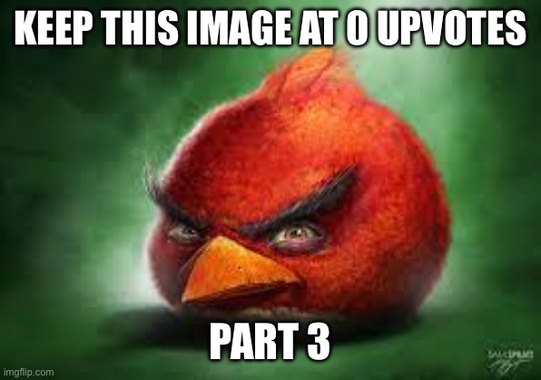 Don’t ruin it | KEEP THIS IMAGE AT 0 UPVOTES; PART 3 | image tagged in realistic red angry birds | made w/ Imgflip meme maker