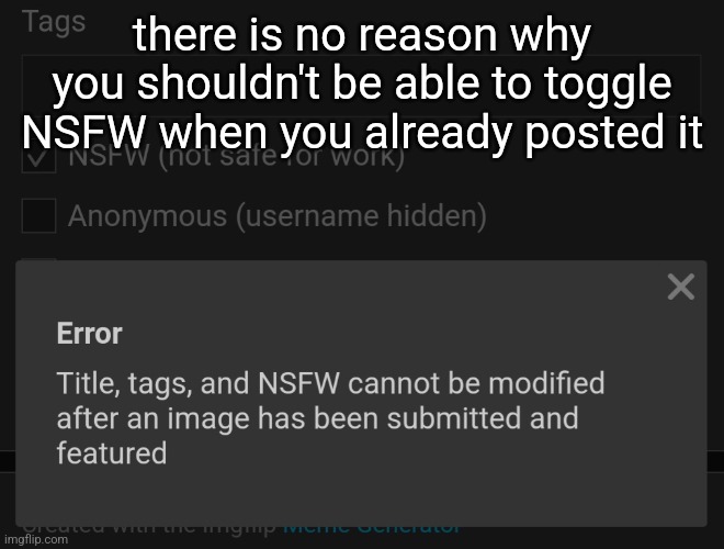 I understand the title and tags but not NSFW | there is no reason why you shouldn't be able to toggle NSFW when you already posted it | made w/ Imgflip meme maker