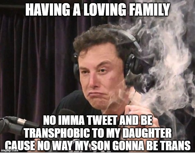 having a loving family - elon be like no thx | HAVING A LOVING FAMILY NO IMMA TWEET AND BE TRANSPHOBIC TO MY DAUGHTER CAUSE NO WAY MY SON GONNA BE TRANS | image tagged in elon musk smoking a joint | made w/ Imgflip meme maker