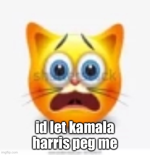 cat stock emoji scared | id let kamala harris peg me | image tagged in cat stock emoji scared | made w/ Imgflip meme maker