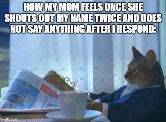 Cat newspaper | HOW MY MOM FEELS ONCE SHE SHOUTS OUT MY NAME TWICE AND DOES NOT SAY ANYTHING AFTER I RESPOND: | image tagged in cat newspaper | made w/ Imgflip meme maker