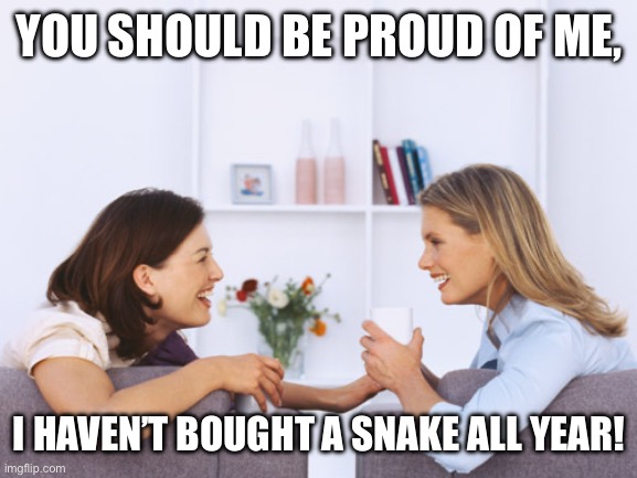 Women talking | YOU SHOULD BE PROUD OF ME, I HAVEN’T BOUGHT A SNAKE ALL YEAR! | image tagged in women talking | made w/ Imgflip meme maker