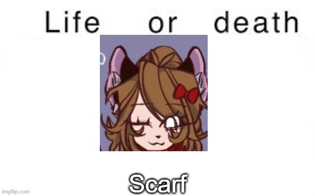 Life or death | Scarf | image tagged in life or death,msmg,memes | made w/ Imgflip meme maker