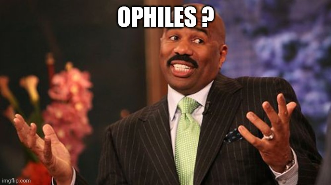 Steve Harvey Meme | OPHILES ? | image tagged in memes,steve harvey | made w/ Imgflip meme maker