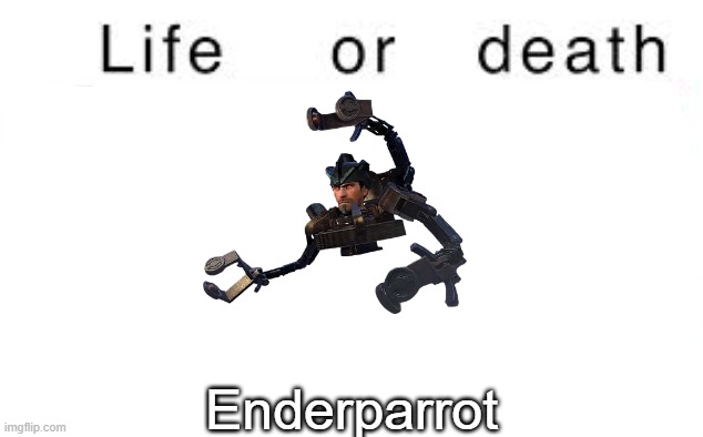 Life or death | Enderparrot | image tagged in life or death,msmg,memes | made w/ Imgflip meme maker