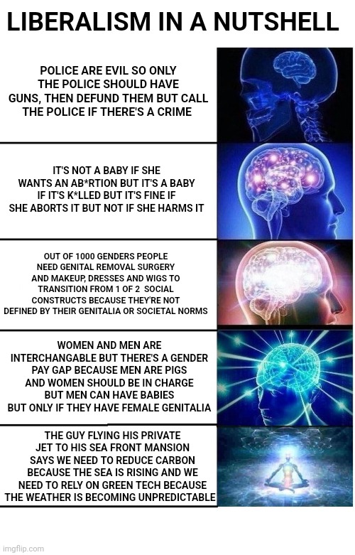 Expanding Brain 5 Panel | LIBERALISM IN A NUTSHELL; POLICE ARE EVIL SO ONLY THE POLICE SHOULD HAVE GUNS, THEN DEFUND THEM BUT CALL THE POLICE IF THERE'S A CRIME; IT'S NOT A BABY IF SHE WANTS AN AB*RTION BUT IT'S A BABY IF IT'S K*LLED BUT IT'S FINE IF SHE ABORTS IT BUT NOT IF SHE HARMS IT; OUT OF 1000 GENDERS PEOPLE NEED GENITAL REMOVAL SURGERY AND MAKEUP, DRESSES AND WIGS TO TRANSITION FROM 1 OF 2  SOCIAL CONSTRUCTS BECAUSE THEY'RE NOT DEFINED BY THEIR GENITALIA OR SOCIETAL NORMS; WOMEN AND MEN ARE INTERCHANGABLE BUT THERE'S A GENDER PAY GAP BECAUSE MEN ARE PIGS AND WOMEN SHOULD BE IN CHARGE BUT MEN CAN HAVE BABIES BUT ONLY IF THEY HAVE FEMALE GENITALIA; THE GUY FLYING HIS PRIVATE JET TO HIS SEA FRONT MANSION SAYS WE NEED TO REDUCE CARBON BECAUSE THE SEA IS RISING AND WE NEED TO RELY ON GREEN TECH BECAUSE THE WEATHER IS BECOMING UNPREDICTABLE | image tagged in expanding brain 5 panel | made w/ Imgflip meme maker