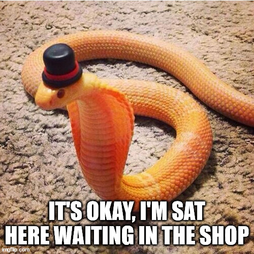 Dapper Snek | IT'S OKAY, I'M SAT HERE WAITING IN THE SHOP | image tagged in dapper snek | made w/ Imgflip meme maker