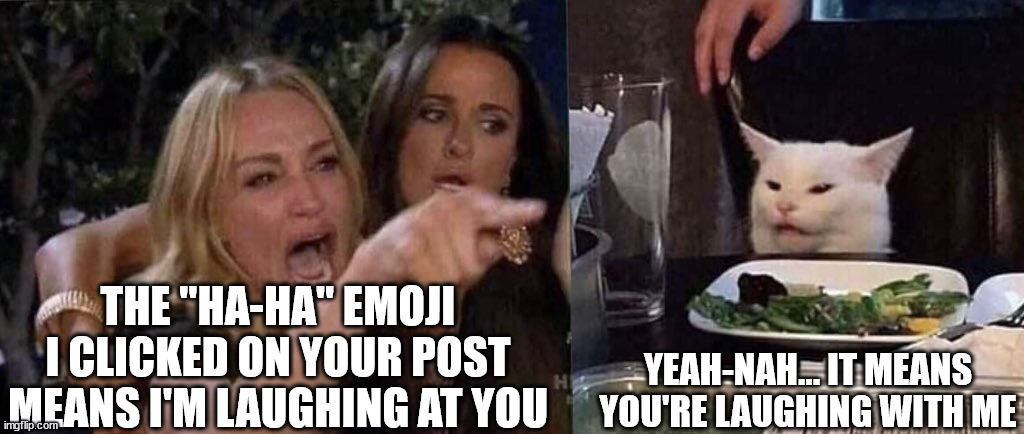 People find my posts funny! | THE "HA-HA" EMOJI I CLICKED ON YOUR POST MEANS I'M LAUGHING AT YOU; YEAH-NAH... IT MEANS YOU'RE LAUGHING WITH ME | image tagged in woman yelling at cat,i choose,funny | made w/ Imgflip meme maker