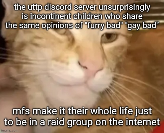 like bruh you're 8. go do some real shit instead of spamming the hard r | the uttp discord server unsurprisingly is incontinent children who share the same opinions of "furry bad" "gay bad"; mfs make it their whole life just to be in a raid group on the internet | image tagged in cat mewing | made w/ Imgflip meme maker