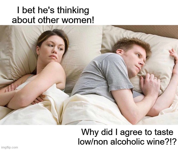 I Bet He's Thinking About Other Women | I bet he's thinking about other women! Why did I agree to taste low/non alcoholic wine?!? | image tagged in memes,i bet he's thinking about other women | made w/ Imgflip meme maker