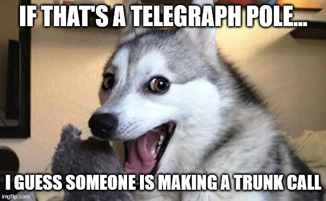 Pun dog - husky | IF THAT'S A TELEGRAPH POLE... I GUESS SOMEONE IS MAKING A TRUNK CALL | image tagged in pun dog - husky | made w/ Imgflip meme maker