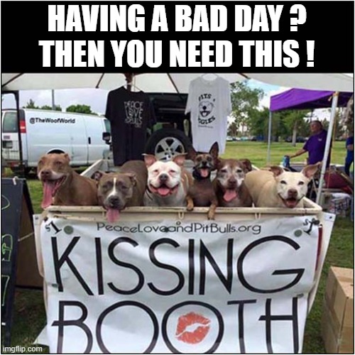 Form An Orderly Queue ! | HAVING A BAD DAY ?
THEN YOU NEED THIS ! | image tagged in dogs,kissing booth | made w/ Imgflip meme maker