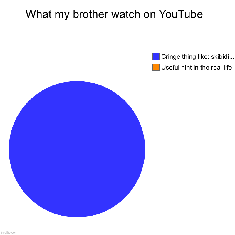 :] | What my brother watch on YouTube  | Useful hint in the real life , Cringe thing like: skibidi... | image tagged in charts,pie charts | made w/ Imgflip chart maker