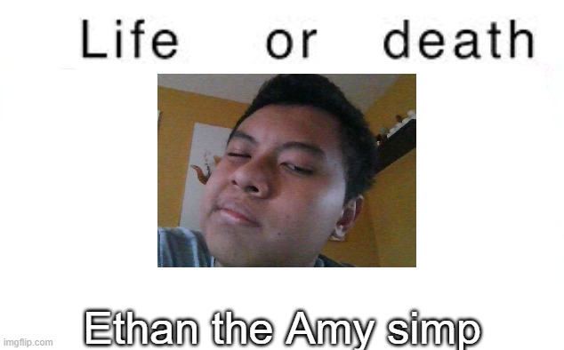 Life or death | Ethan the Amy simp | image tagged in life or death,msmg,memes | made w/ Imgflip meme maker