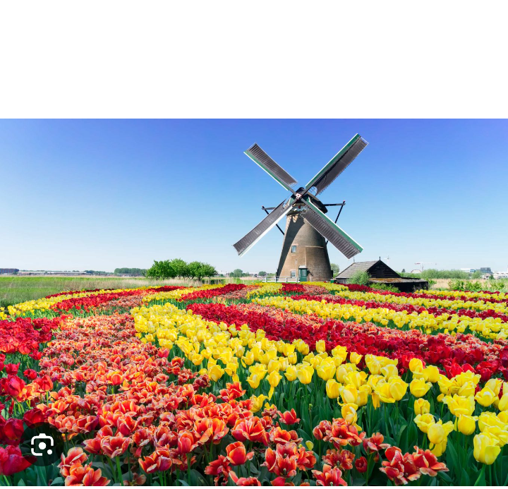 Dutch windmill Blank Meme Template