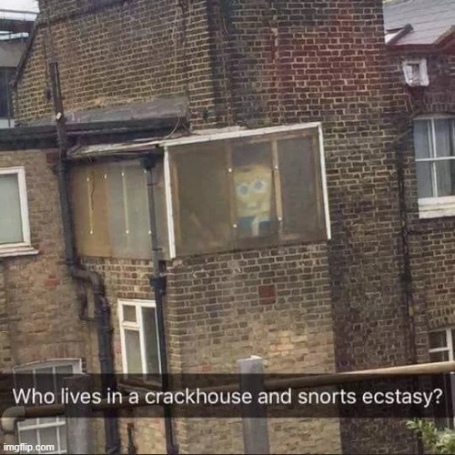 Crackhead | image tagged in xd,msmg,memes,spongebob,ectasy | made w/ Imgflip meme maker