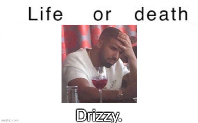 Life or death | Drizzy. | image tagged in life or death,msmg,memes | made w/ Imgflip meme maker