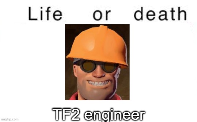 The user not the class | TF2 engineer | image tagged in life or death,msmg,memes | made w/ Imgflip meme maker