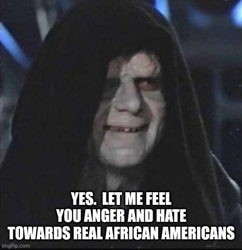 Sidious Error Meme | YES.  LET ME FEEL YOU ANGER AND HATE TOWARDS REAL AFRICAN AMERICANS | image tagged in memes,sidious error | made w/ Imgflip meme maker