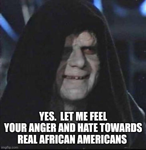 Sidious Error Meme | YES.  LET ME FEEL YOUR ANGER AND HATE TOWARDS REAL AFRICAN AMERICANS | image tagged in memes,sidious error | made w/ Imgflip meme maker