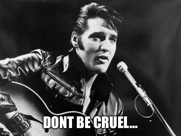 Leather Elvis | DONT BE CRUEL… | image tagged in leather elvis | made w/ Imgflip meme maker