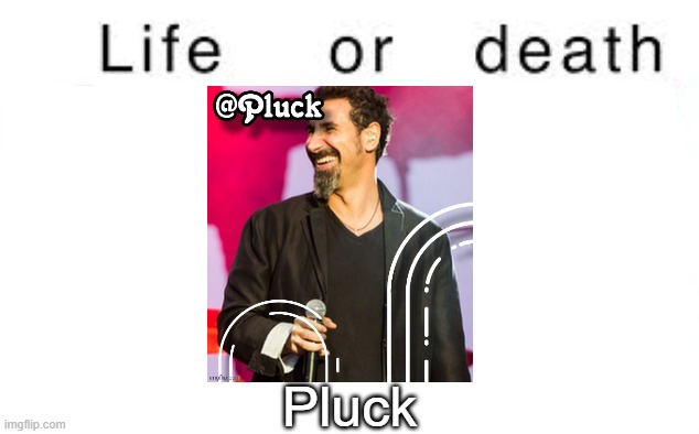 Life or death | Pluck | image tagged in life or death,msmg,memes | made w/ Imgflip meme maker