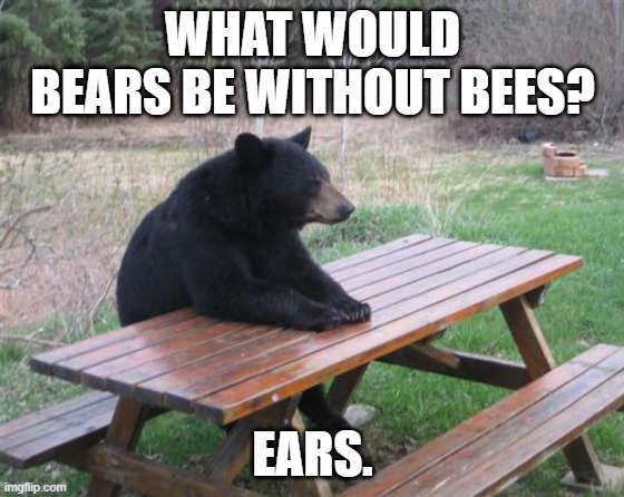 Daily Bad Dad Joke January 2, 2024 | WHAT WOULD BEARS BE WITHOUT BEES? EARS. | image tagged in memes,bad luck bear | made w/ Imgflip meme maker