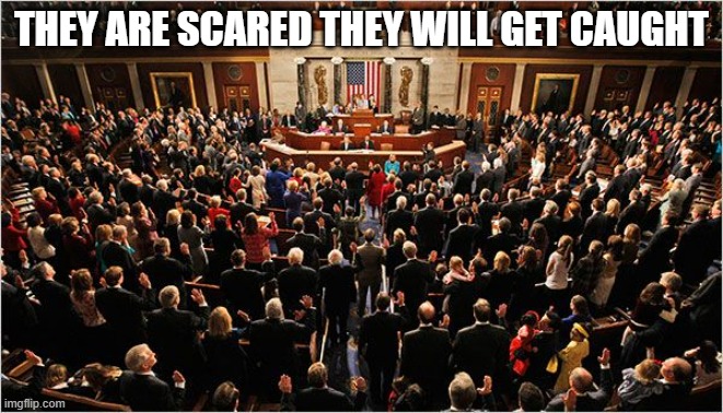 Congress | THEY ARE SCARED THEY WILL GET CAUGHT | image tagged in congress | made w/ Imgflip meme maker