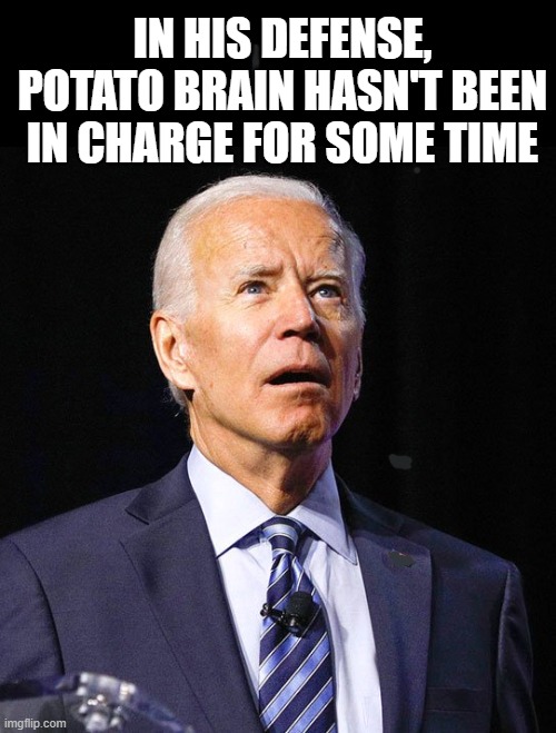 Joe Biden | IN HIS DEFENSE, POTATO BRAIN HASN'T BEEN IN CHARGE FOR SOME TIME | image tagged in joe biden | made w/ Imgflip meme maker