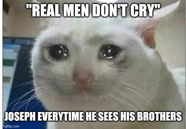 Read your bible | "REAL MEN DON'T CRY"; JOSEPH EVERYTIME HE SEES HIS BROTHERS | image tagged in crying cat,funny,christian memes,church,lol,holy bible | made w/ Imgflip meme maker