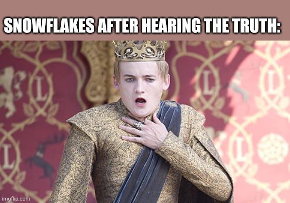 Offended | SNOWFLAKES AFTER HEARING THE TRUTH: | image tagged in offended | made w/ Imgflip meme maker