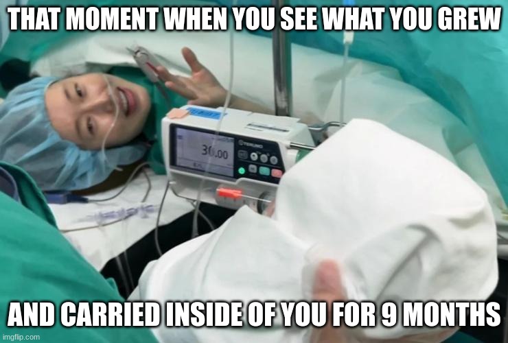 To think a whole human baby was growing inside a woman's body for 9 months | THAT MOMENT WHEN YOU SEE WHAT YOU GREW; AND CARRIED INSIDE OF YOU FOR 9 MONTHS | image tagged in pregnant,birth,c-section,that moment when,baby | made w/ Imgflip meme maker