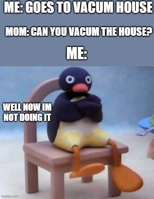 noot noot | ME: GOES TO VACUM HOUSE; MOM: CAN YOU VACUM THE HOUSE? ME:; WELL NOW IM NOT DOING IT | image tagged in noot noot | made w/ Imgflip meme maker