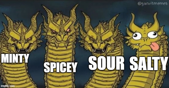 The flavour types | MINTY; SPICEY; SOUR; SALTY | image tagged in 4 headed dragon,flavours | made w/ Imgflip meme maker