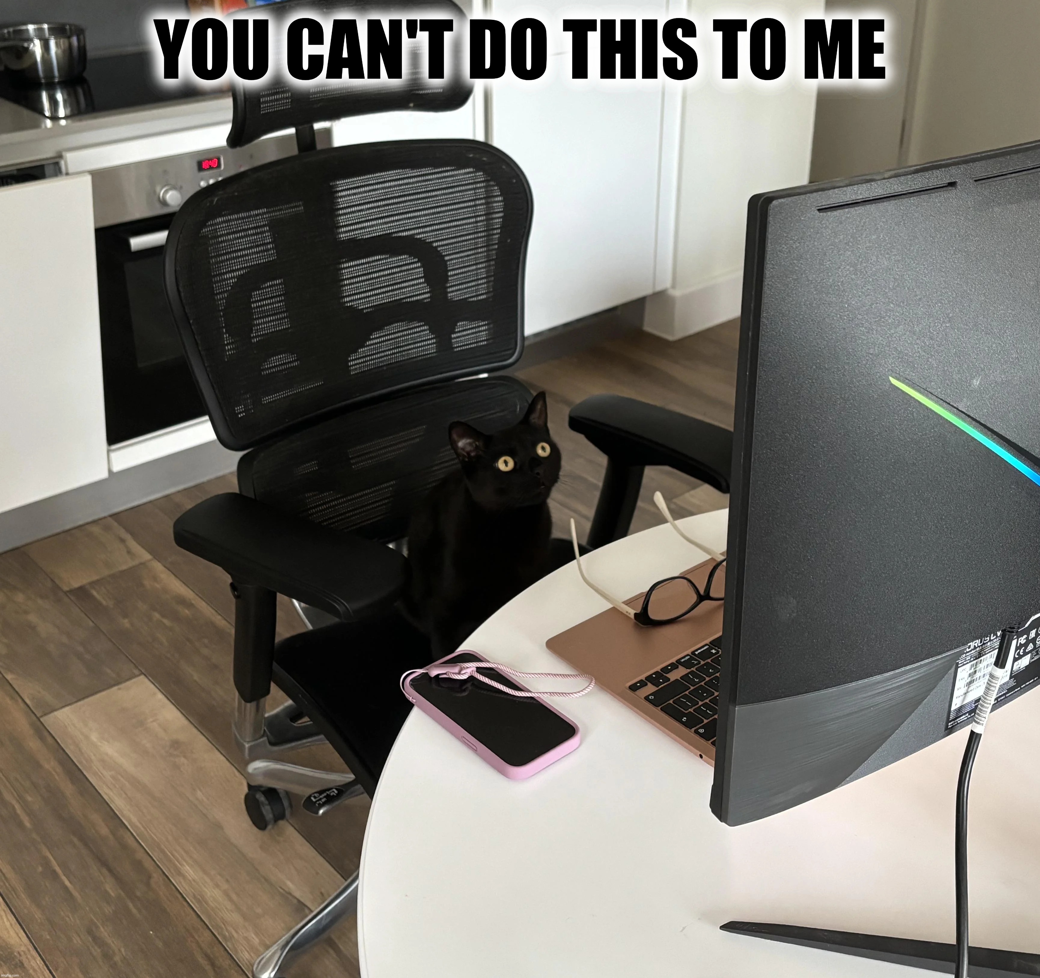 Remotely retired | YOU CAN'T DO THIS TO ME | image tagged in funny cats,cats,lolcats,business cat,unemployed,downsized | made w/ Imgflip meme maker