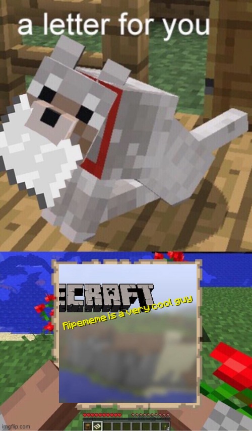 Minecraft Mail | Ripememe is a very cool guy Ripememe is a very cool guy | image tagged in minecraft mail | made w/ Imgflip meme maker