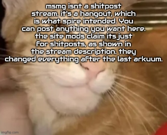 cat mewing | msmg isnt a shitpost stream. it's a hangout, which is what spire intended. You can post anything you want here. the site mods claim its just for shitposts, as shown in the stream description. they changed everything after the last arkuum. | image tagged in cat mewing | made w/ Imgflip meme maker