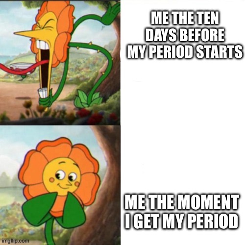 PMS is a b!tch | ME THE TEN DAYS BEFORE MY PERIOD STARTS; ME THE MOMENT I GET MY PERIOD | image tagged in sunflower | made w/ Imgflip meme maker