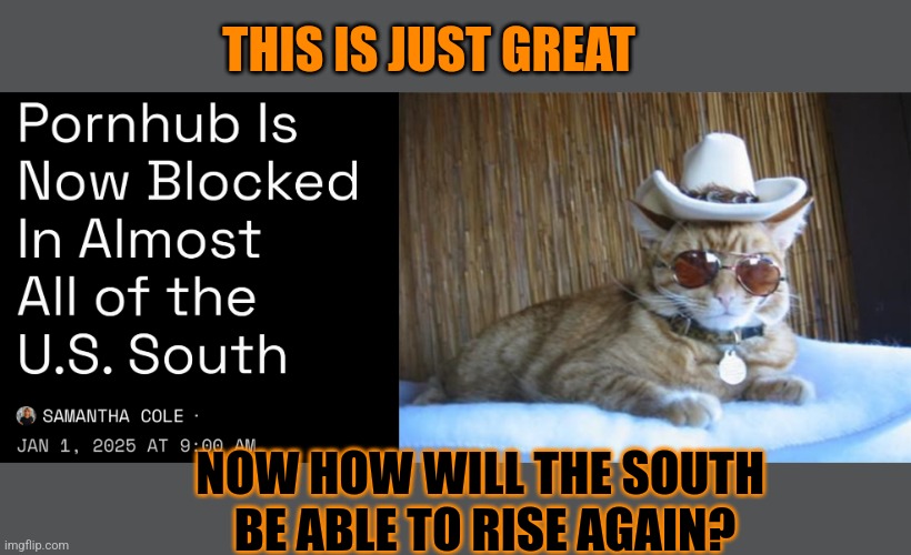 This #lolcat wonders if The South will ever Rise Again | THIS IS JUST GREAT; NOW HOW WILL THE SOUTH 
BE ABLE TO RISE AGAIN? | image tagged in pornhub,florida,hypocrisy,conservative hypocrisy,lolcat | made w/ Imgflip meme maker