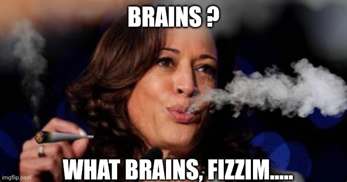 Kamala Harris stoned | BRAINS ? WHAT BRAINS, FIZZIM..... | image tagged in kamala harris stoned | made w/ Imgflip meme maker