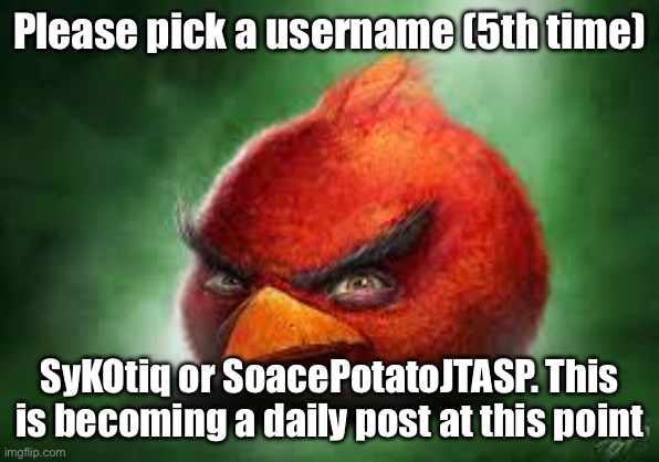 Active January 6th | Please pick a username (5th time); SyKOtiq or SoacePotatoJTASP. This is becoming a daily post at this point | image tagged in realistic red angry birds | made w/ Imgflip meme maker