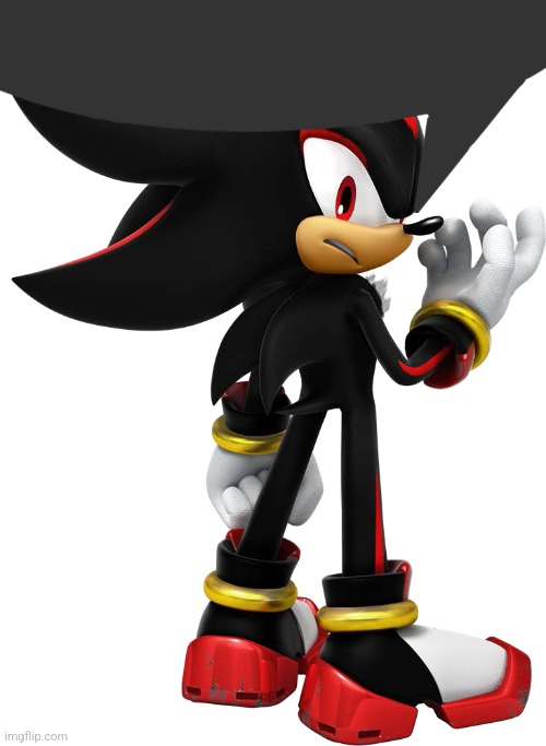 Shadow the hedgehog | image tagged in shadow the hedgehog | made w/ Imgflip meme maker