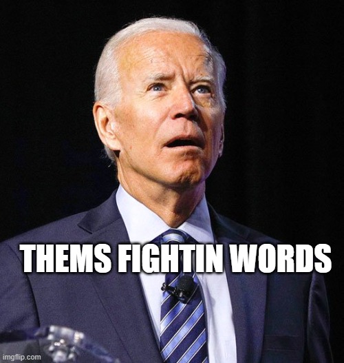 Joe Biden | THEMS FIGHTIN WORDS | image tagged in joe biden | made w/ Imgflip meme maker