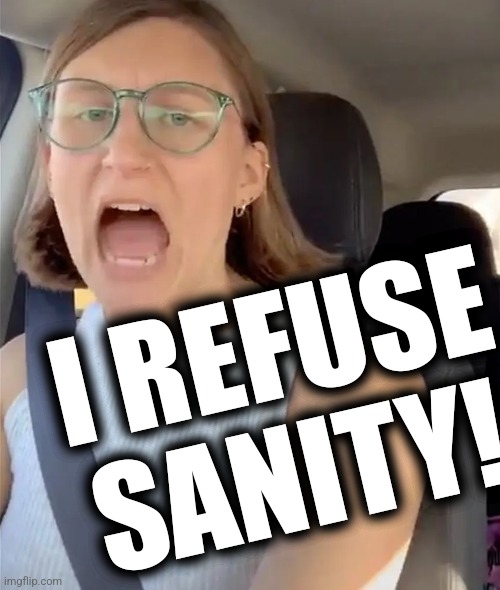 Unhinged Liberal Lunatic Idiot Woman Meltdown Screaming in Car | I REFUSE SANITY! | image tagged in unhinged liberal lunatic idiot woman meltdown screaming in car | made w/ Imgflip meme maker