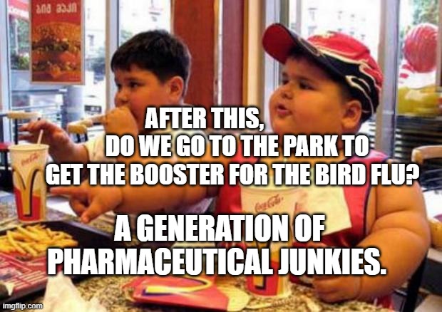 Fat McDonald's Kid | AFTER THIS,               DO WE GO TO THE PARK TO GET THE BOOSTER FOR THE BIRD FLU? A GENERATION OF PHARMACEUTICAL JUNKIES. | image tagged in fat mcdonald's kid | made w/ Imgflip meme maker