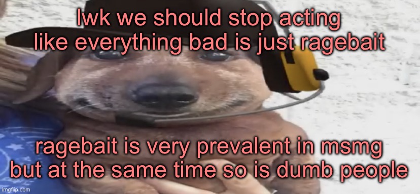 chucklenuts | lwk we should stop acting like everything bad is just ragebait; ragebait is very prevalent in msmg but at the same time so is dumb people | image tagged in chucklenuts | made w/ Imgflip meme maker