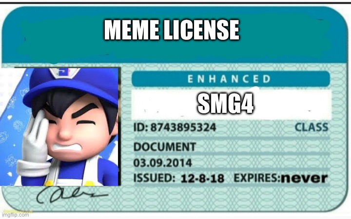 Meme license | MEME LICENSE; SMG4 | image tagged in blank hunting license,smg4 | made w/ Imgflip meme maker